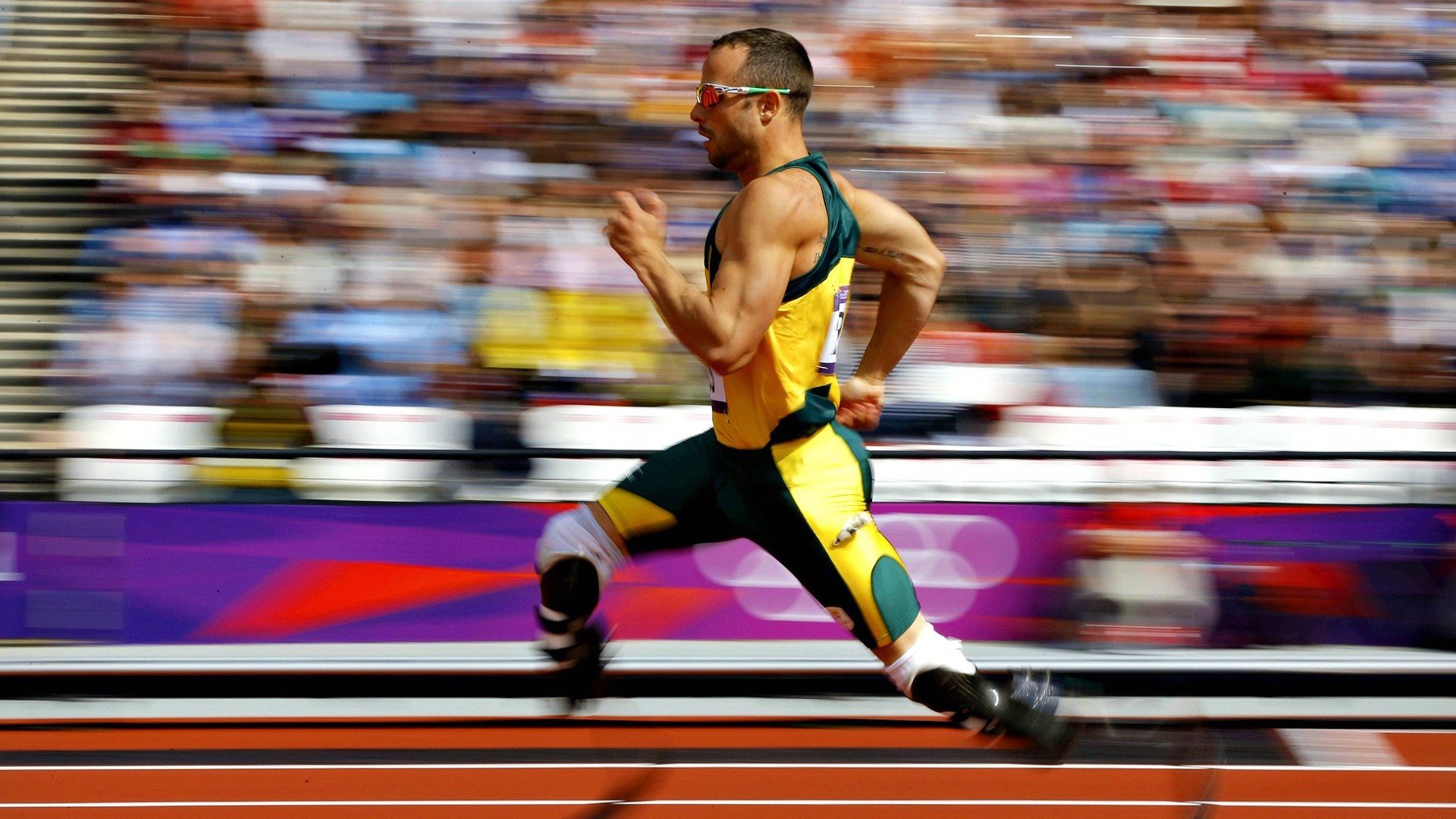 德甲争冠战焦点战,辽宁队强势晋级马刺,体育世界的平行宇宙与胜利的共通语言